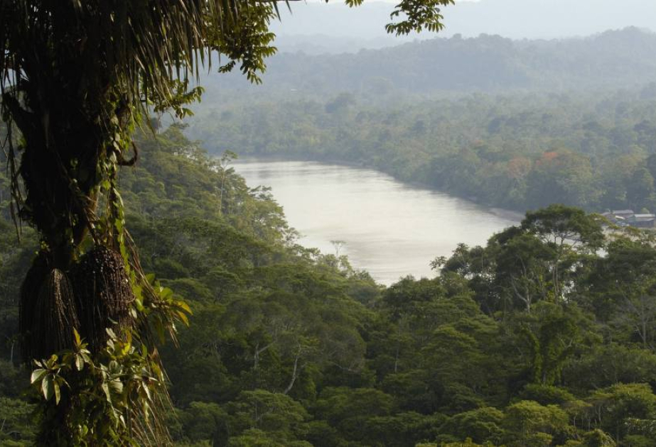 Brasilien erlaubt Öl- und Gasförderung im Amazonasgebiet