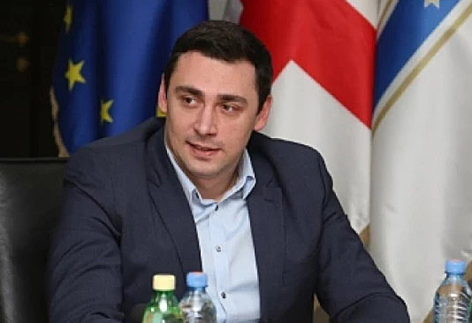 Laşa Abaşidze: Gürcüstan qonşu ölkələrlə elektron gömrük rəsmiləşdirilməsinin tətbiqi üzərində fəal iş aparır