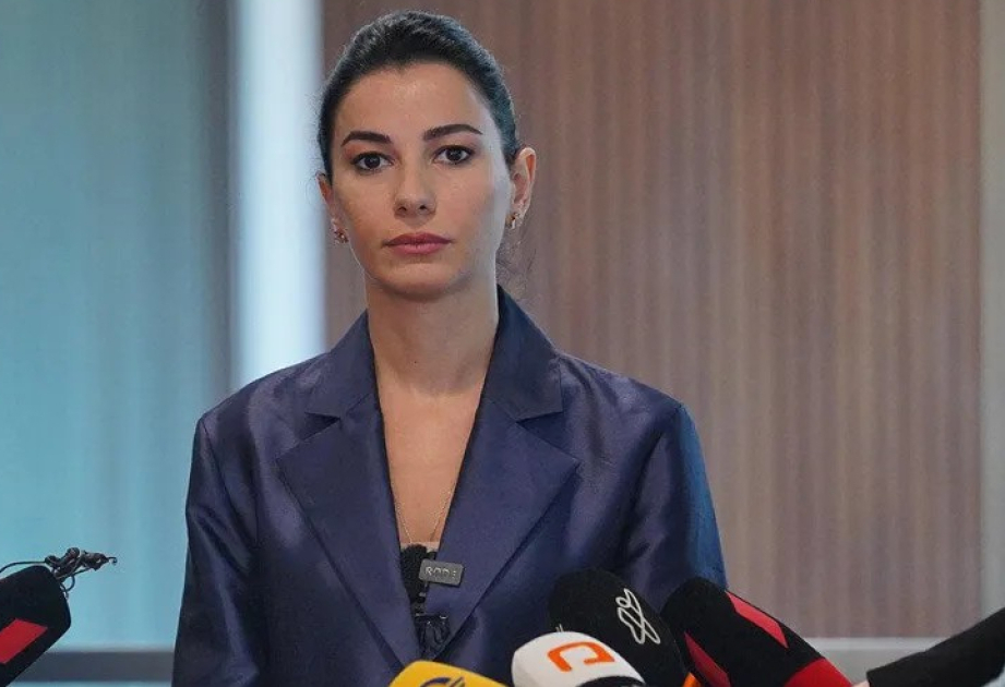 Gürcü nazir: Azərbaycan və Qazaxıstanla sıx təmaslar sayəsində Orta Dəhlizdə mövqelərimizi möhkəmləndiririk