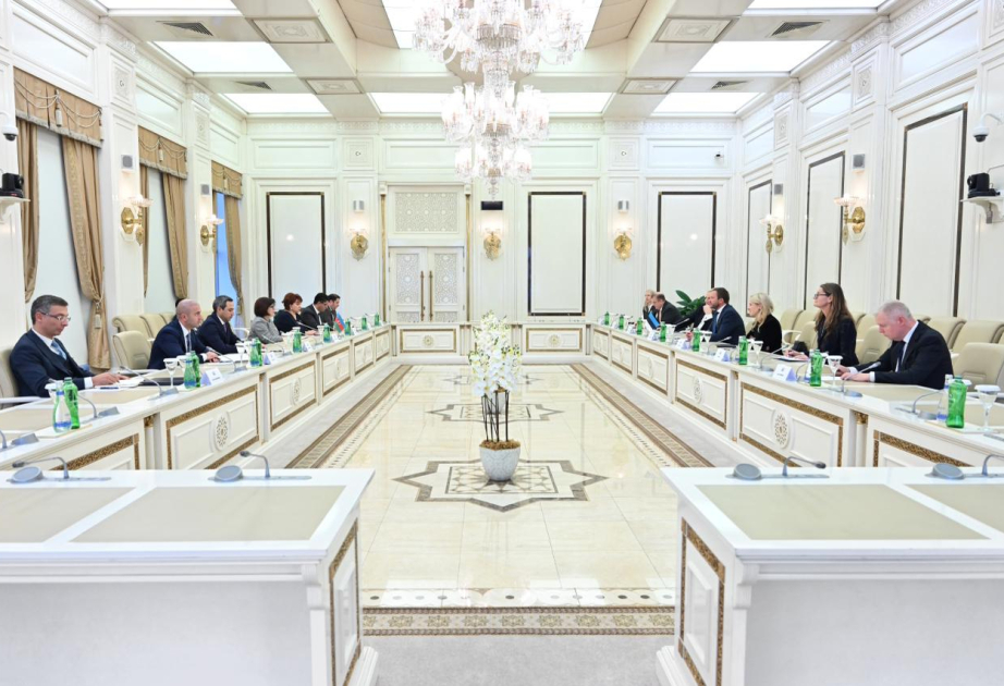 La Presidenta de Milli Majlis se reunió con el Ministro de Asuntos Exteriores de Estonia