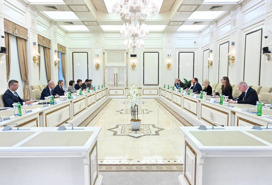 国民议会议长萨黑巴·加法罗娃会见爱沙尼亚外长