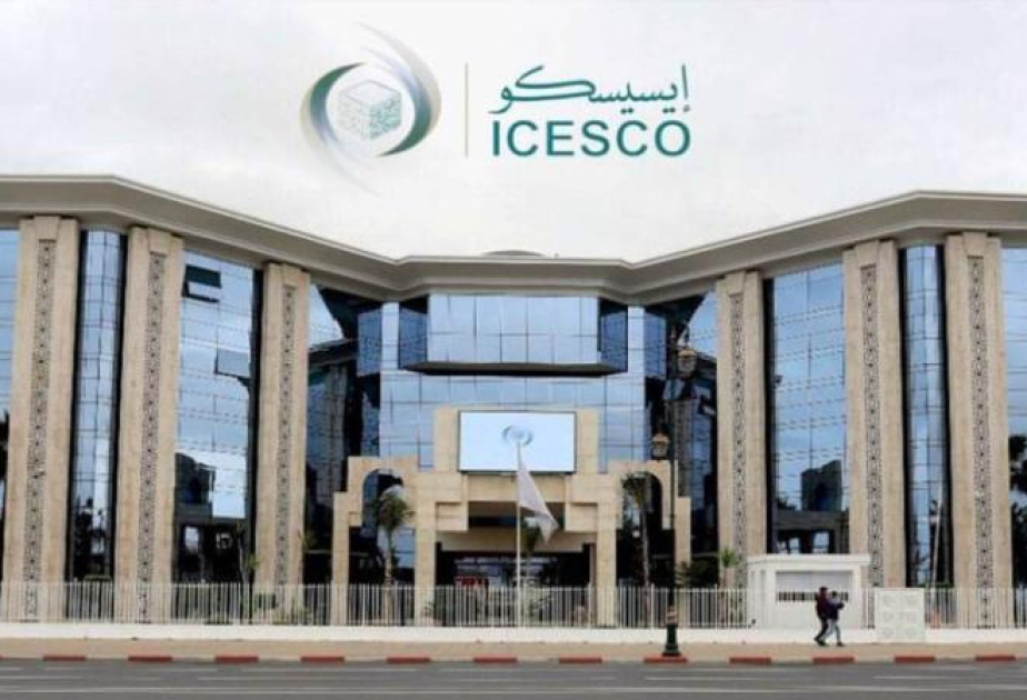 ICESCO Director-General meets Azerbaijani youth