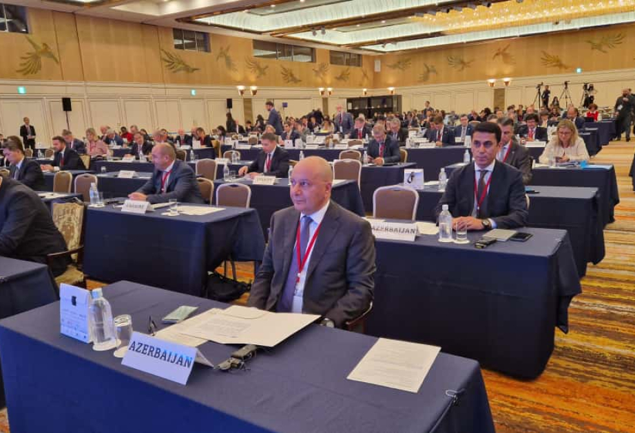ANAMA joins international conference on mine action