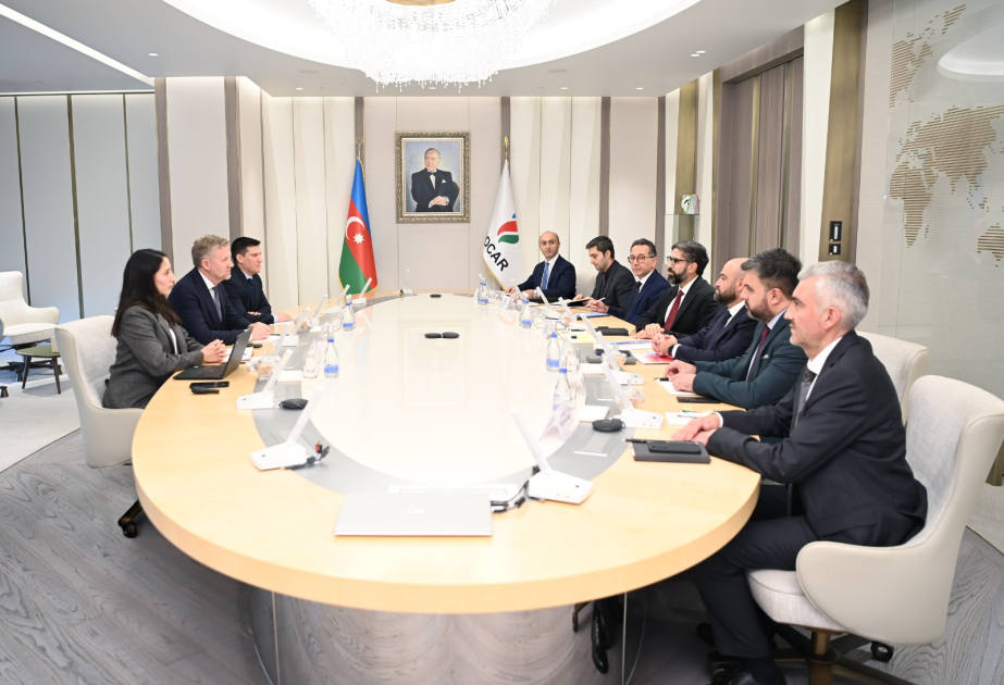 SOCAR-ın prezidenti ABB şirkətinin Şimali Avropa üzrə baş vitse-prezidenti ilə görüşüb