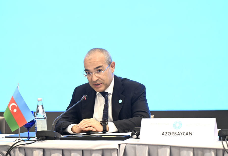Микаил Джаббаров: Мы предлагаем создать Технологическую платформу с участием крупных промышленных компаний ВИДЕО