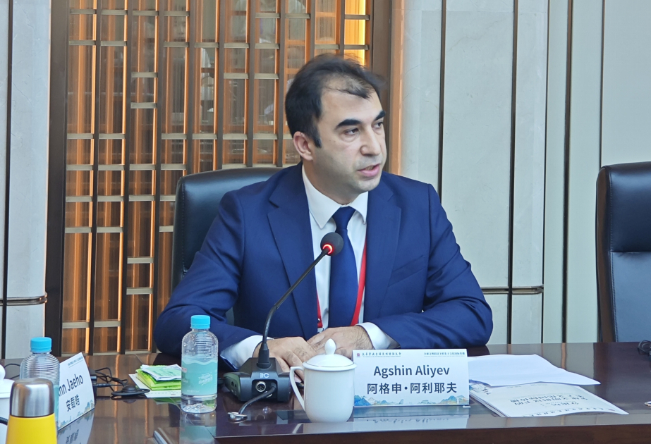 Beynəlxalq konfransda Azərbaycanla Çin arasında humanitar elmi ədəbiyyatın tərcüməsindən danışılıb