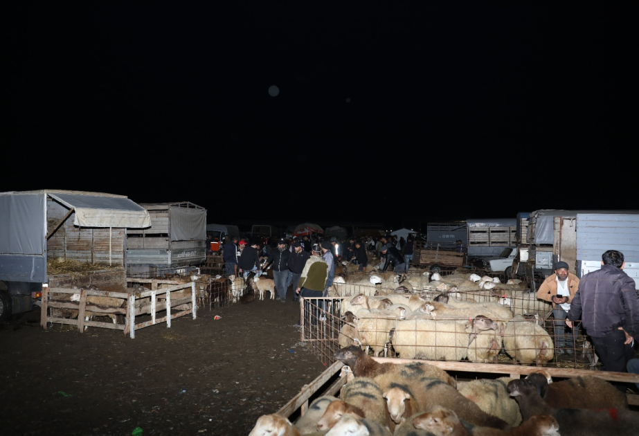 Biləsuvarda yerləşən heyvan bazarında nöqsanlar aşkarlanıb