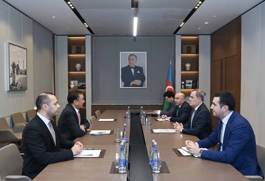 أذربيجان ومنظمة الدول التركية تبحثان تعزيز التعاون وتوسيع نطاق الأمانة العامة للمنظمة