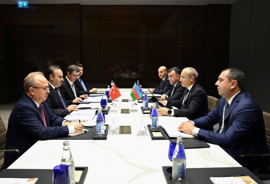 Azerbaijani Economy Minister holds bilateral meetings with OTS member states’ officials
