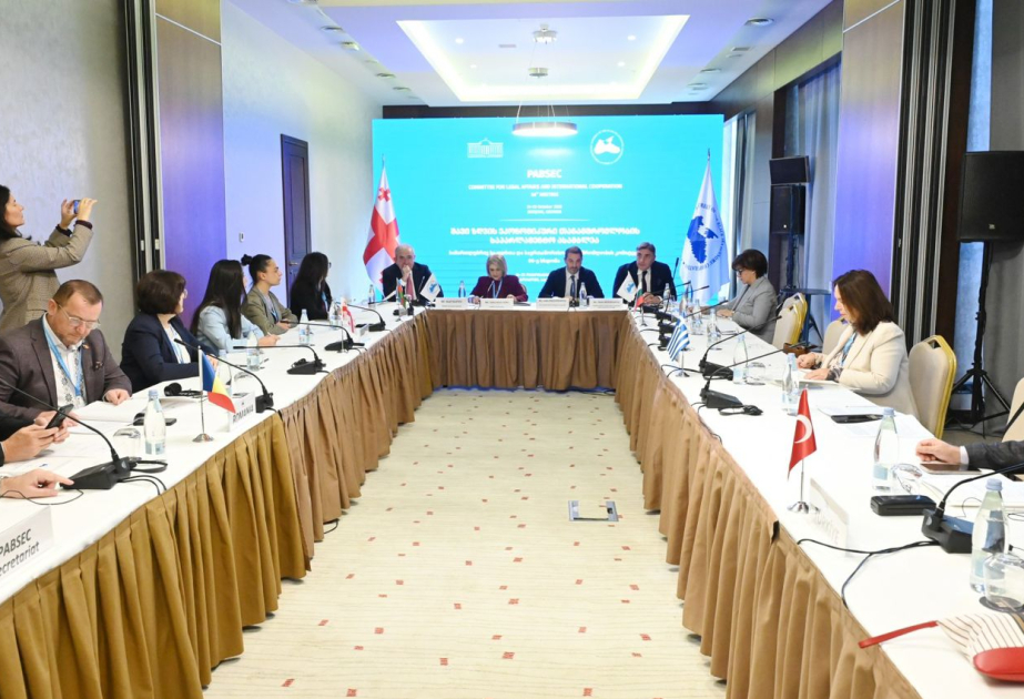 QDİƏT PA-nın Gürcüstanda keçirilən komitə iclasında süni intellektin rolu müzakirə olunub