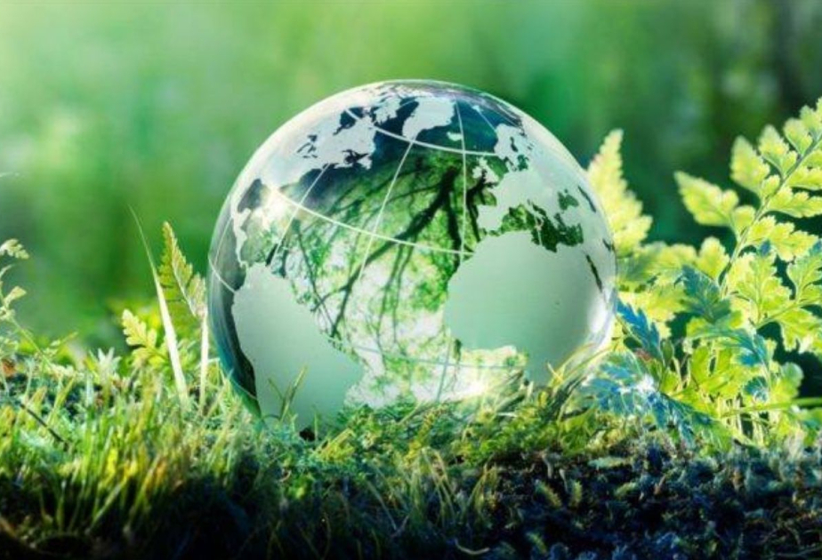 المغرب يطلق بشراكة دولية مشروع "البوابة الخضراء للشباب والتنوع البيولوجي "