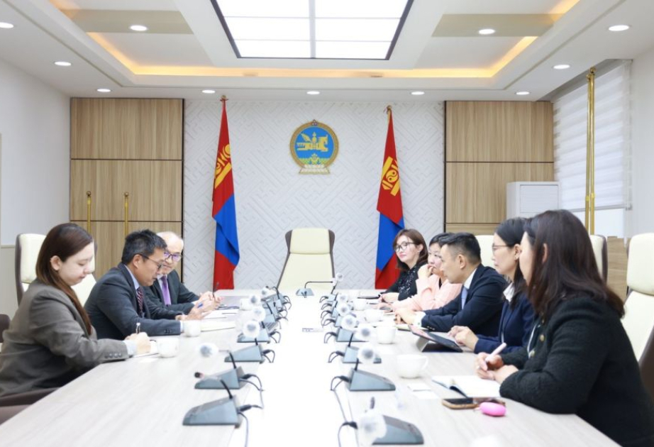 Mongolia to collaborate with China, South Korea and UN to tackle increasing yellow dust storms