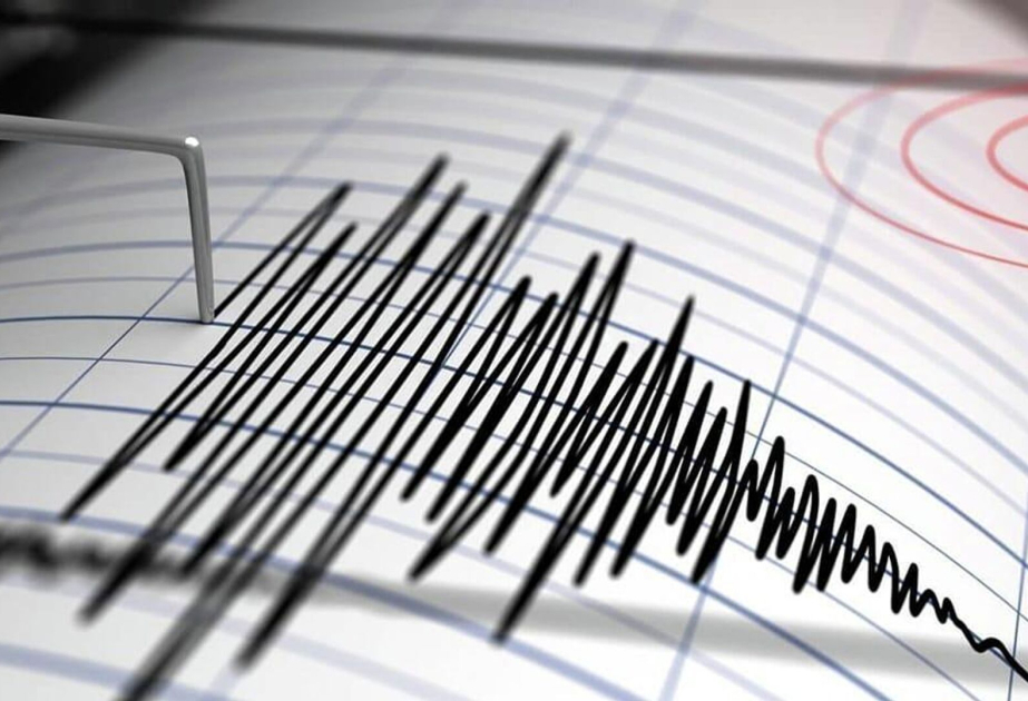 6.3-magnitude earthquake jolts Indonesia's East Nusa Tenggara