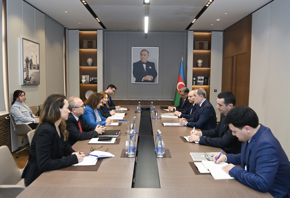 Türkiyə xarici işlər nazirinin müavini Azərbaycan-Ermənistan normallaşma prosesi barədə məlumatlandırılıb