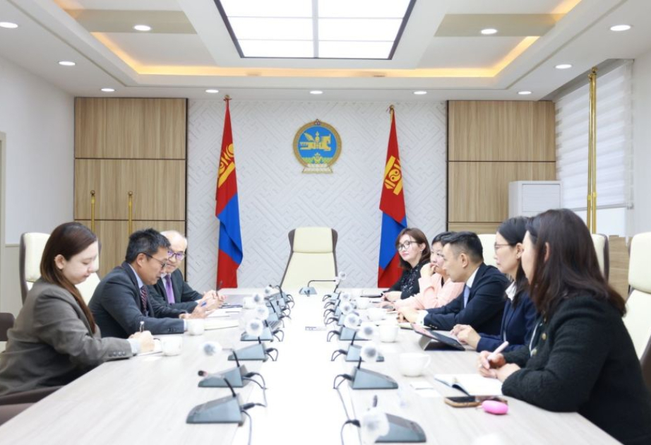 Mongolia to collaborate with China, South Korea and the UN to tackle increasing yellow dust storms