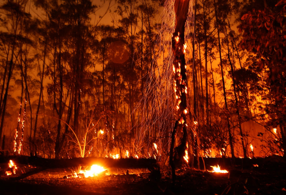 Планы стран по борьбе с изменением климата не соответствуют необходимым действиям – Исследование