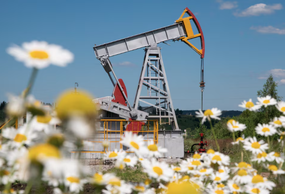 Les cours du pétrole diminuent sur les bourses mondiales