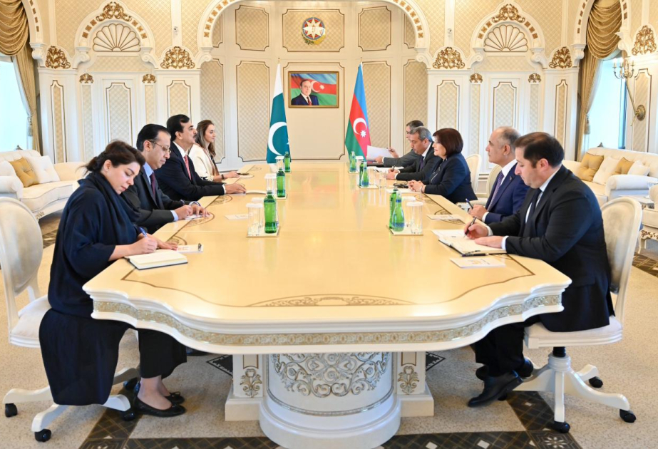 Milli Məclisin sədri Sahibə Qafarova Pakistan Senatının sədri ilə görüşüb