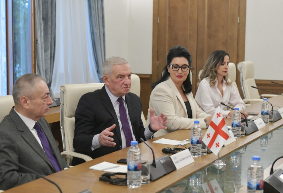 Giorgi Volski: Azərbaycan və Ermənistan arasında danışıqlar prosesi Cənubi Qafqazda sülhün bərqərar olması üçün xüsusi əhəmiyyət kəsb edir