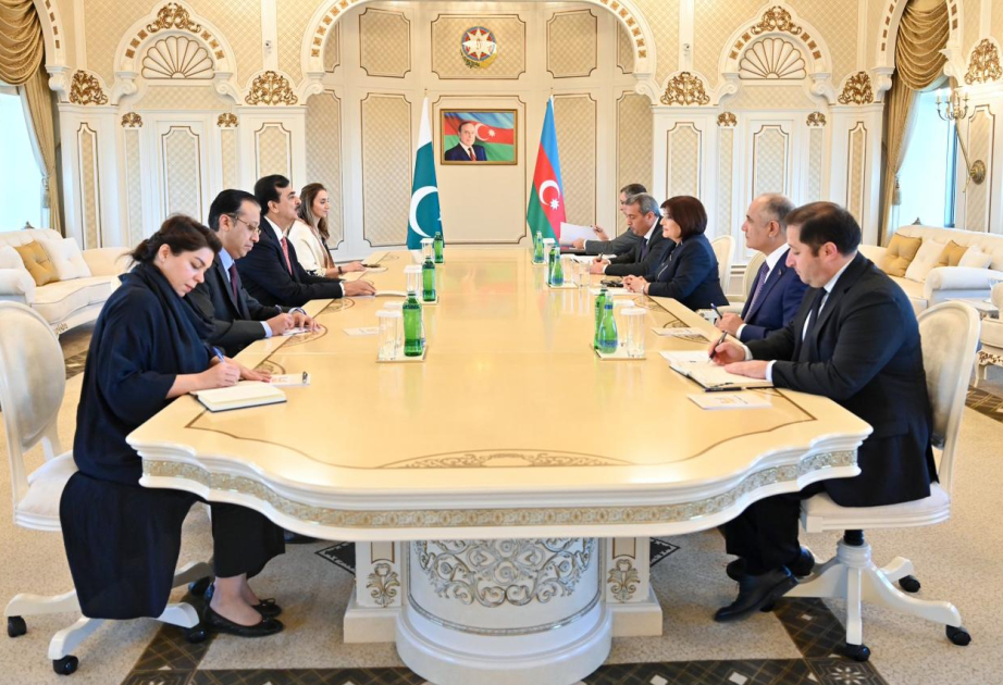 Aserbaidschans Parlamentssprecherin trifft pakistanischen Senatsvorsitzenden