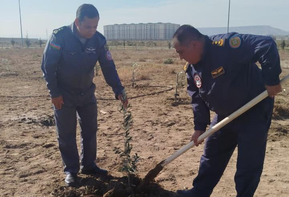 FHN-in Aviasiya dəstəsi ağacəkmə aksiyası keçirib