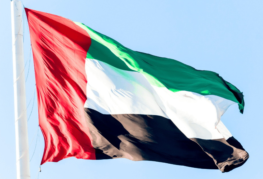 الإمارات تستثمر أكثر من 110 مليار دولار في إفريقيا خلال الثلاث سنوات