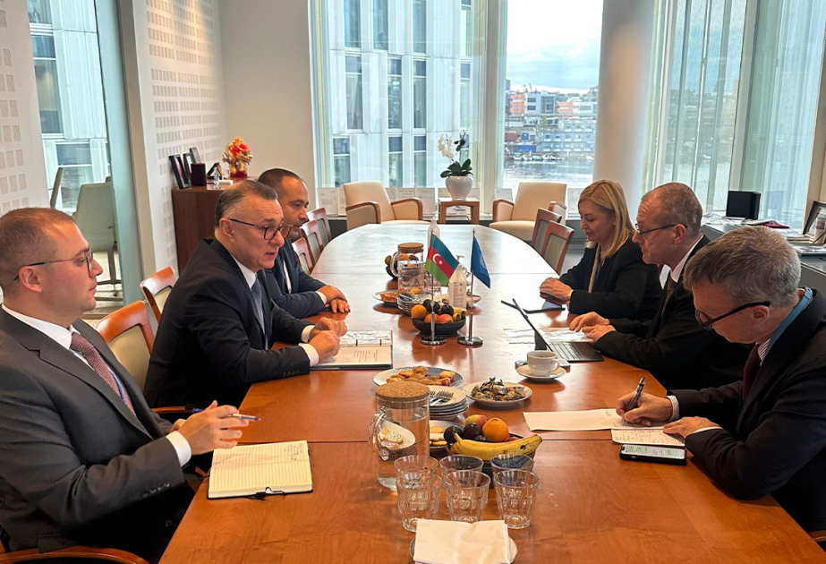 Azerbaiyán amplía su papel en la política sanitaria internacional en la sesión de la OMS en Copenhague