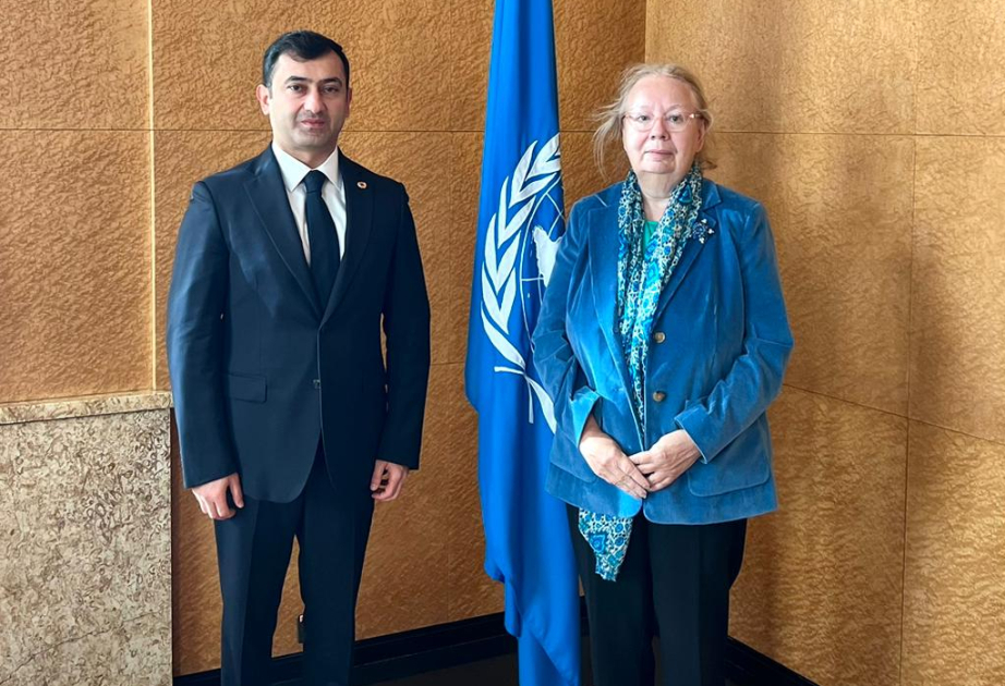 International Civil Defence Organization, UN discuss institutional partnership