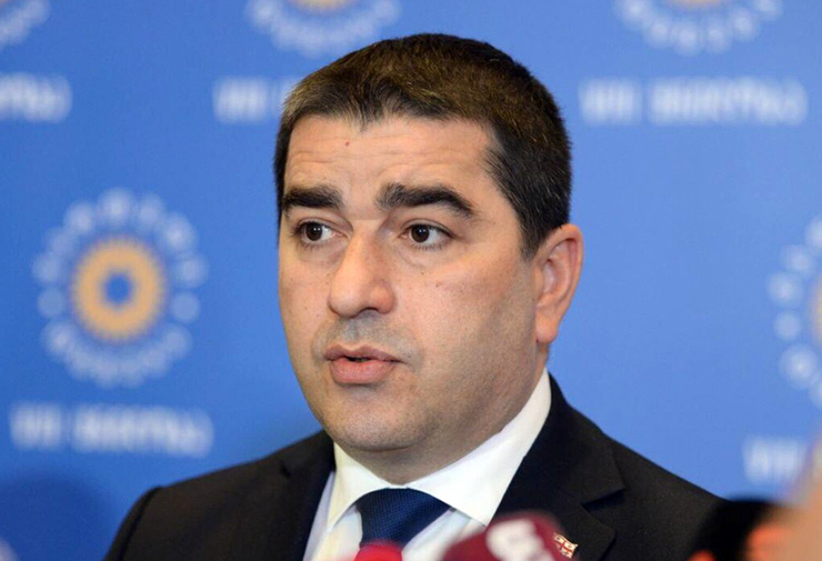 Şalva Papuaşvili: AŞPA məruzəçilərinin bəyanatı impulsiv reaksiyadan başqa bir şey deyil
