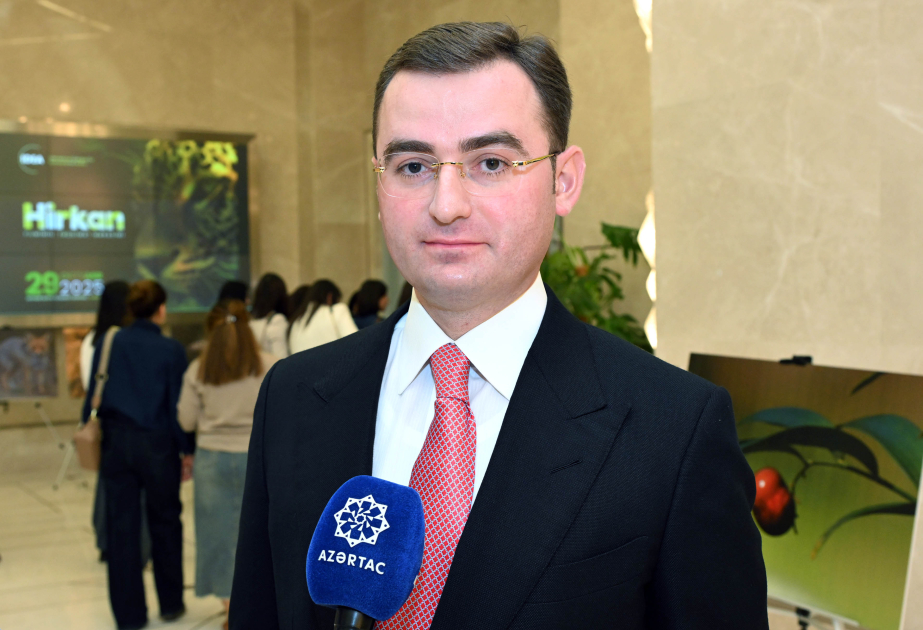 Hikmət Nağdəliyev: Gələn il növbəti filmi Azərbaycan ictimaiyyətinə təqdim edəcəyik