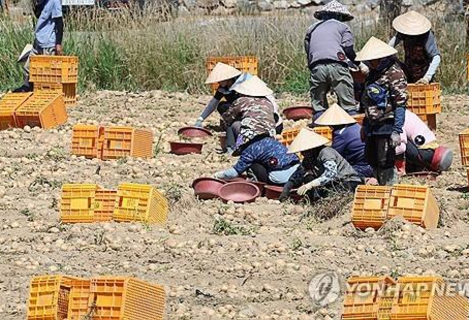 Long-term foreign residents increase to record high of 2.58 mln
