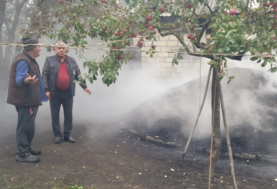 Dövlət Ekoloji Təhlükəsizlik Xidməti: Qanunsuz kömür istehsalı ilə bağlı 218 fakt qeydə alınıb