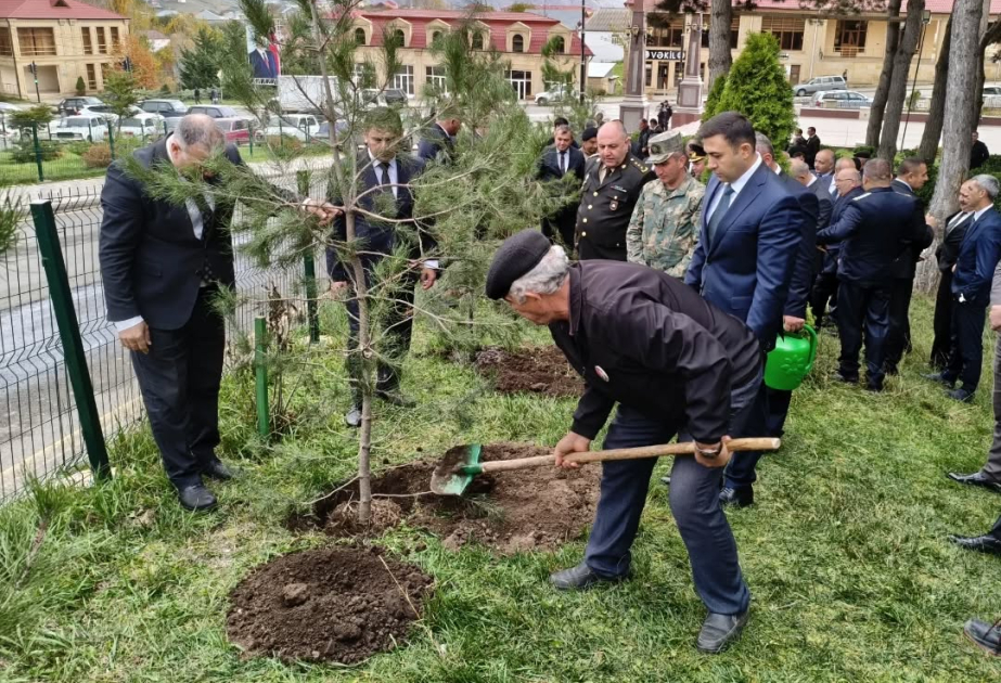 Zəfər Günü münasibətilə Gədəbəydə 1400-dən çox ağac əkilib