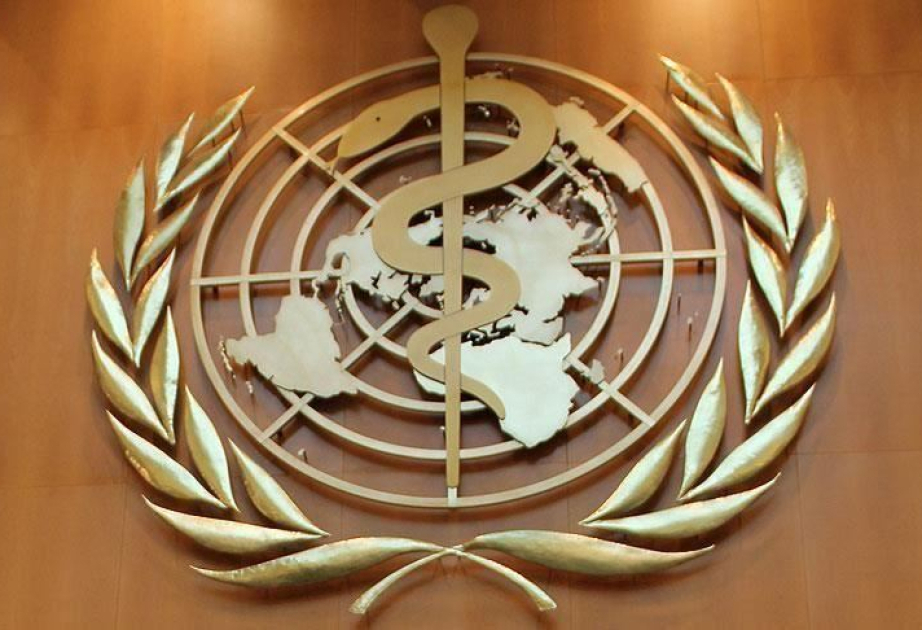 L’ONU alerte sur le déficit critique de financement pour l’adaptation climatique