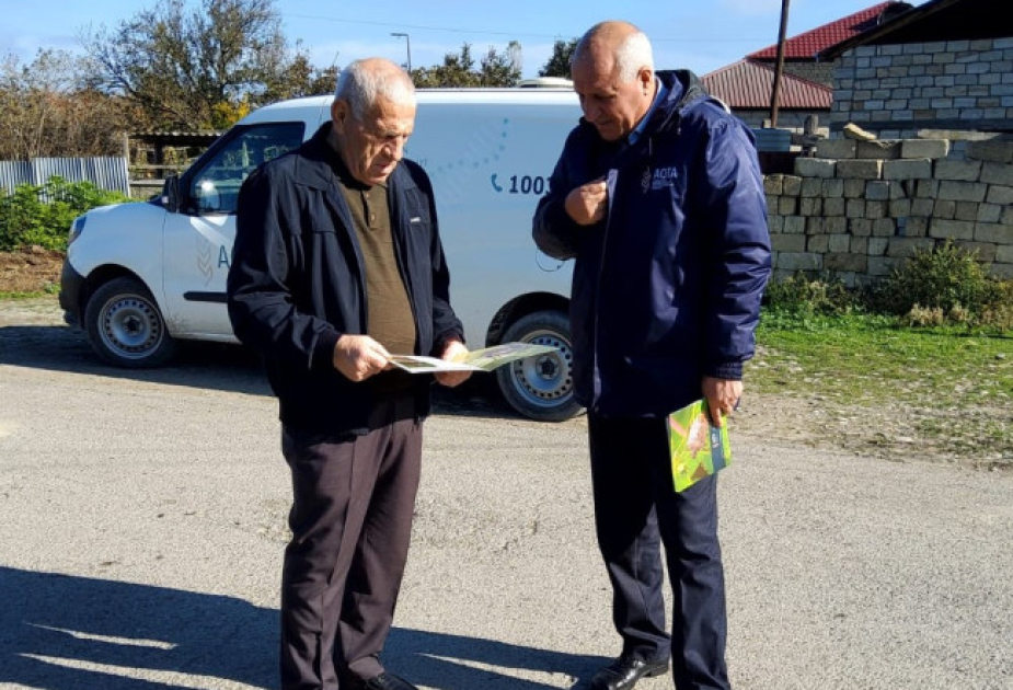Xaçmazın 5 kəndində qəhvəyi mərmər bağacığına qarşı maarifləndirmə tədbirləri keçirilib
