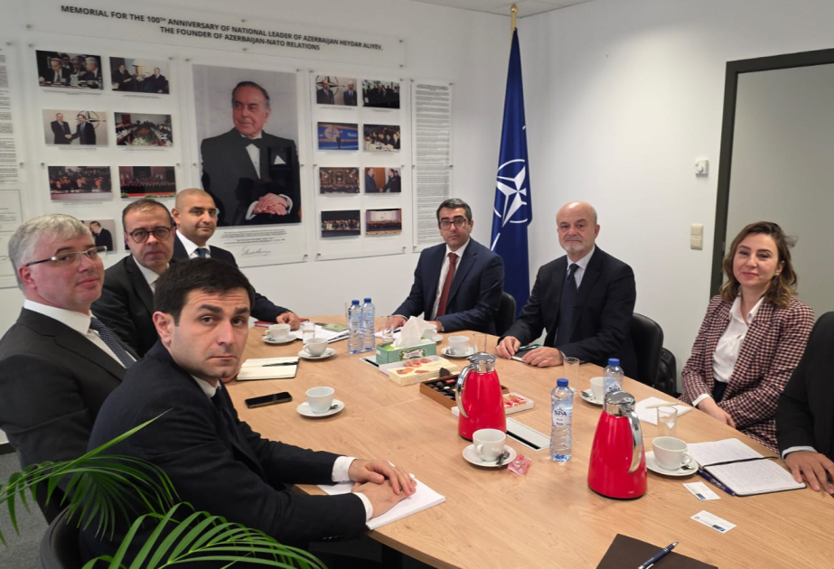 Se debatió la cooperación de Azerbaiyán con la OTAN en el ámbito del desminado