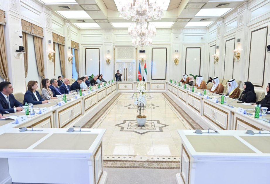 Speaker of Azerbaijan`s Parliament meets with Speaker of UAE Federal National Council