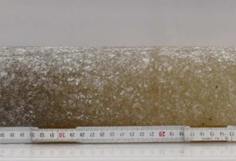 Six-million-year-old ice discovered in Antarctica offers unprecedented window into a warmer Earth