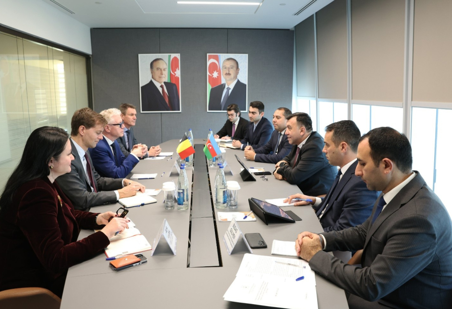 Azerbaijan, Belgium discuss development of economic partnership