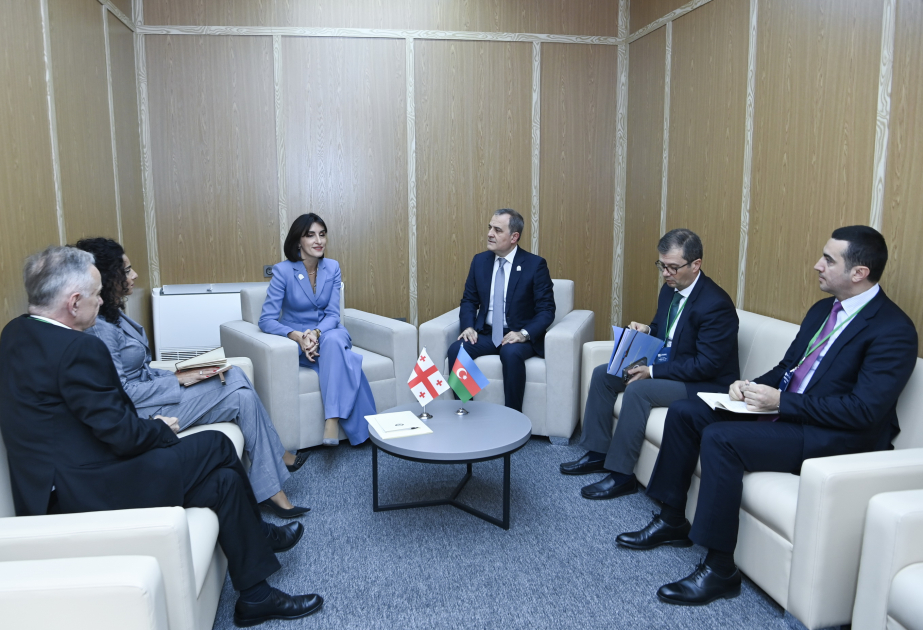 Se analizaron las perspectivas para el desarrollo de la asociación estratégica entre Azerbaiyán y Georgia