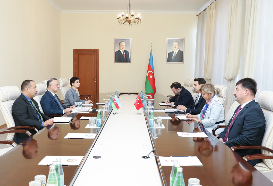 Azerbaijan, TIKA explore cooperation in health sector