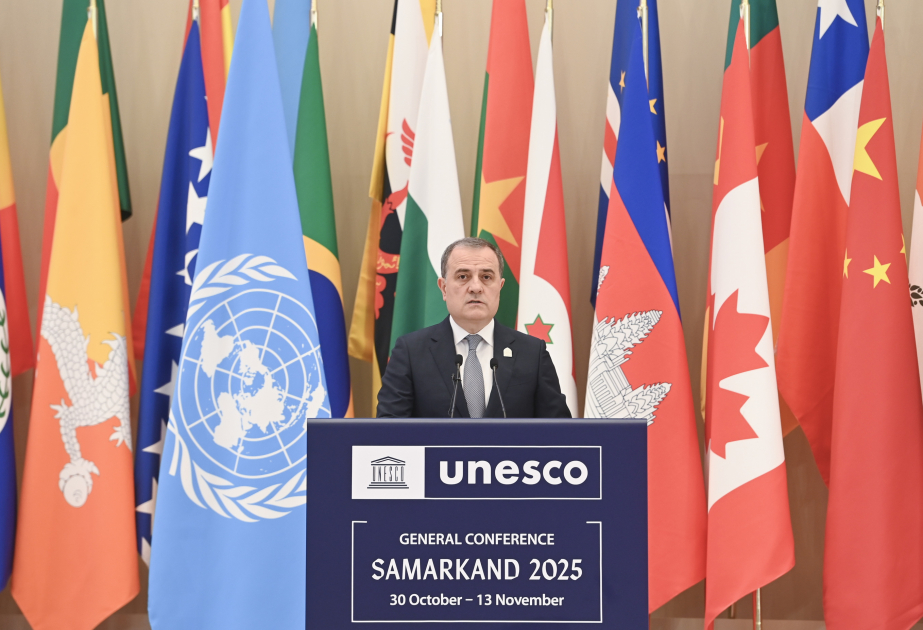 Ministro: “Azerbaiyán, como Estado donante, apoya las iniciativas en el ámbito del diálogo intercultural”