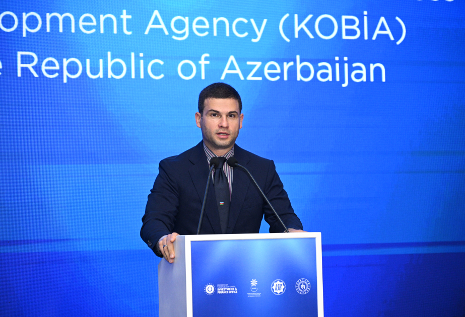 Председатель KOBİA: Азербайджан верит в инициативность молодежи