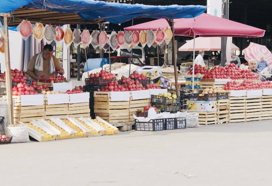 In Goychay Granatapfelernte begonnen