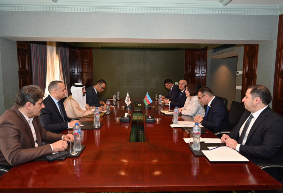 Milli Məclislə Ərəb Parlamenti arasında əlaqələrin daha da genişləndirilməsi məsələləri nəzərdən keçirilib