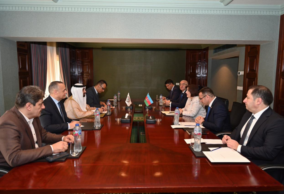 رئيسة البرلمان الأذربيجاني تلتقي رئيس البرلمان العربي في القاهرة لتعزيز الروابط المشتركة وشبكة عدم الانحياز البرلمانية