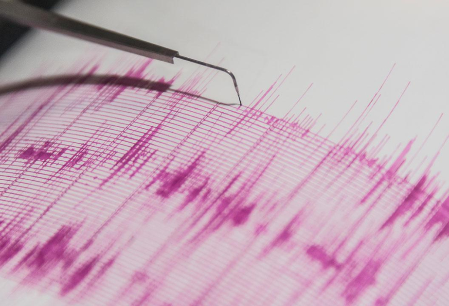 زلزال في أفغانستان أدى إلى مقتل سبعة أشخاص