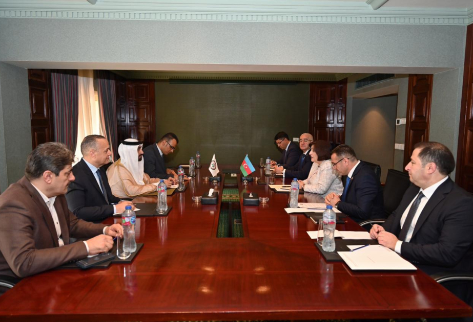 Les parlements azerbaïdjanais et arabe discutent de leur relations