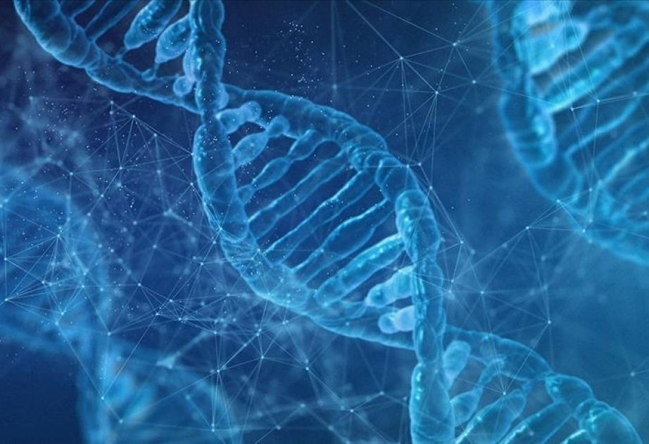 Scientists create cutting-edge DNA tool to predict a person’s age, origin