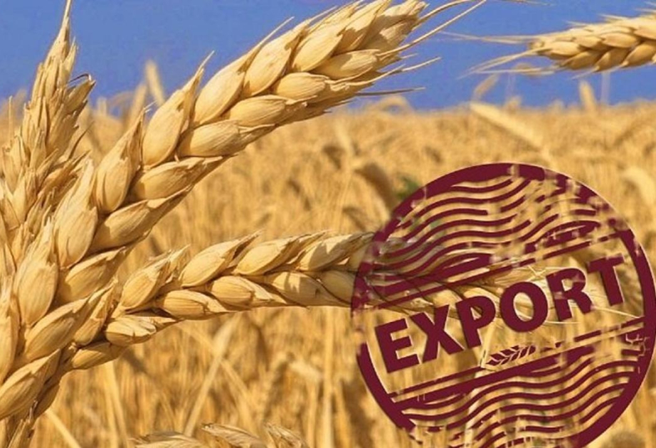 Казахстан увеличил экспорт зерна - поставки в Азербайджан выросли в три раза